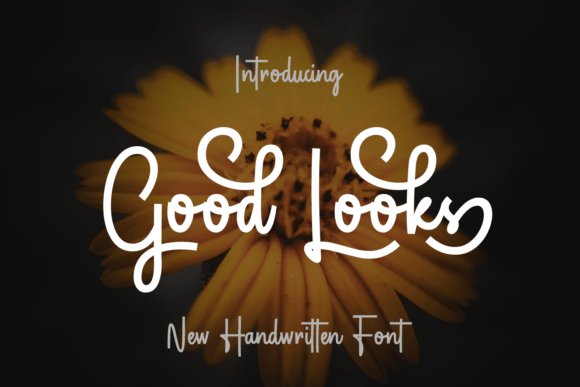 Good Looks Font: A Web Designer’s Review
